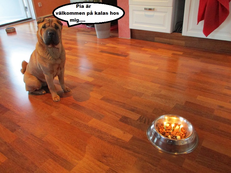 Liten Boxsterville.jpg, 140.72 kb, 736 x 551