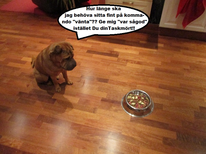 Liten vecka 26.jpg, 153.68 kb, 722 x 541