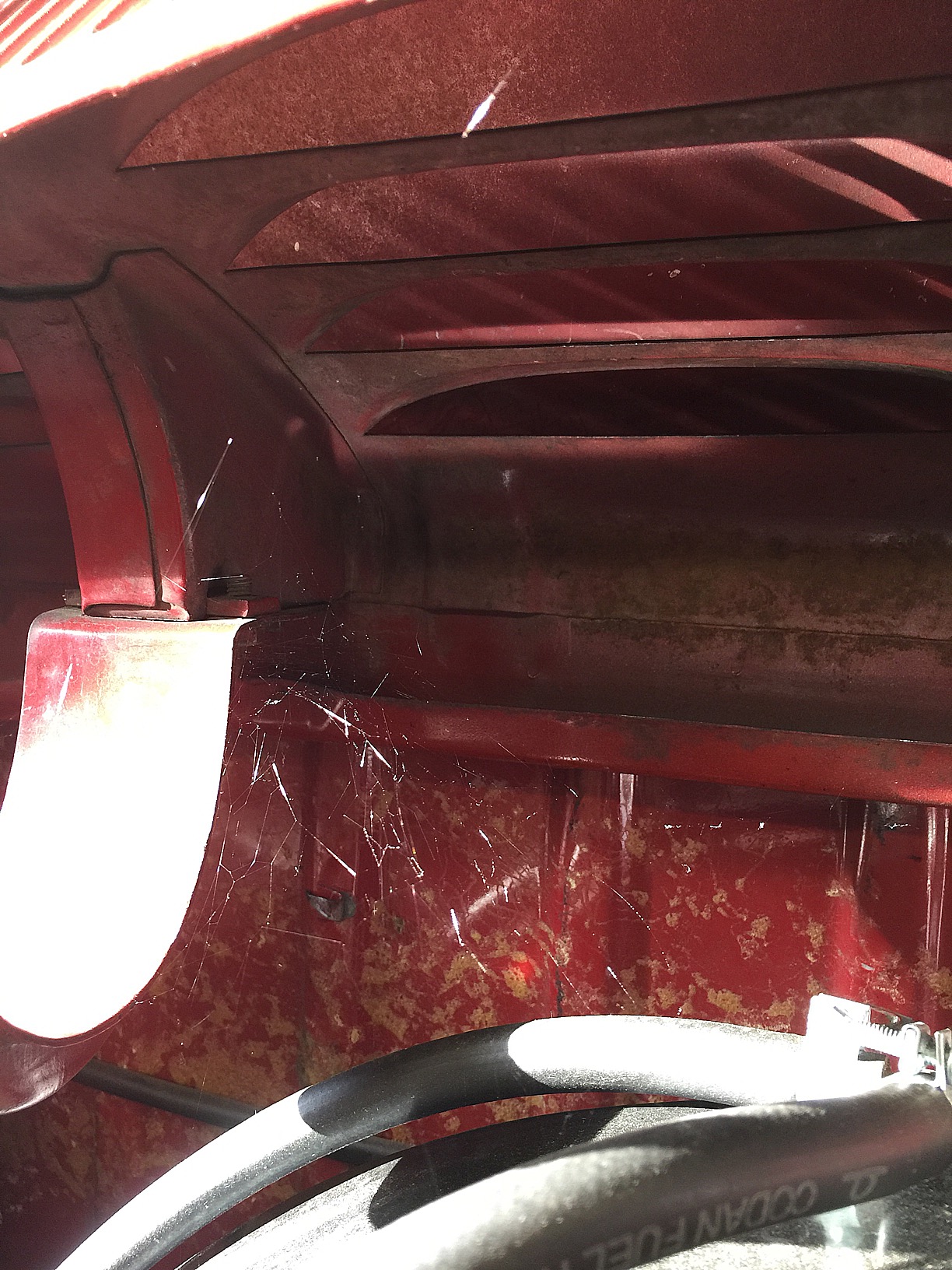 954BD204-F31E-465E-AA6B-E545E5CA5CBE.jpeg, 578.61 kb, 1224 x 1632