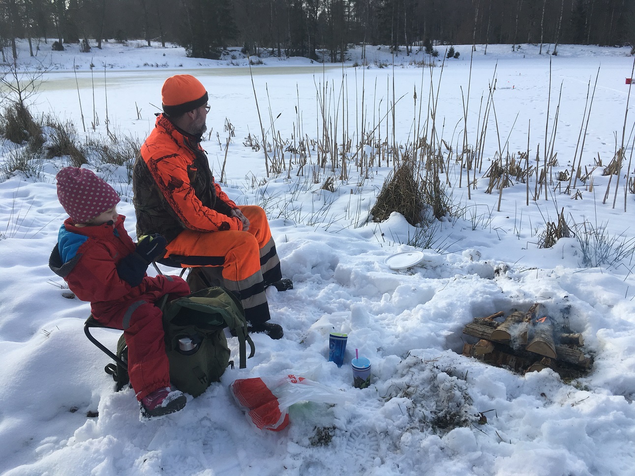 IMG_9659.JPG, 507.45 kb, 1291 x 968