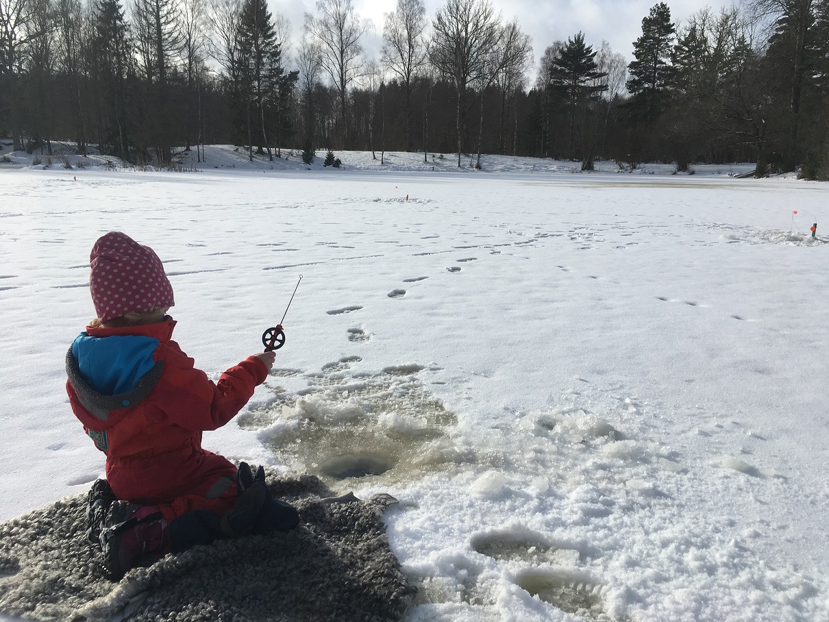 IMG_9663.JPG, 482.55 kb, 1210 x 908