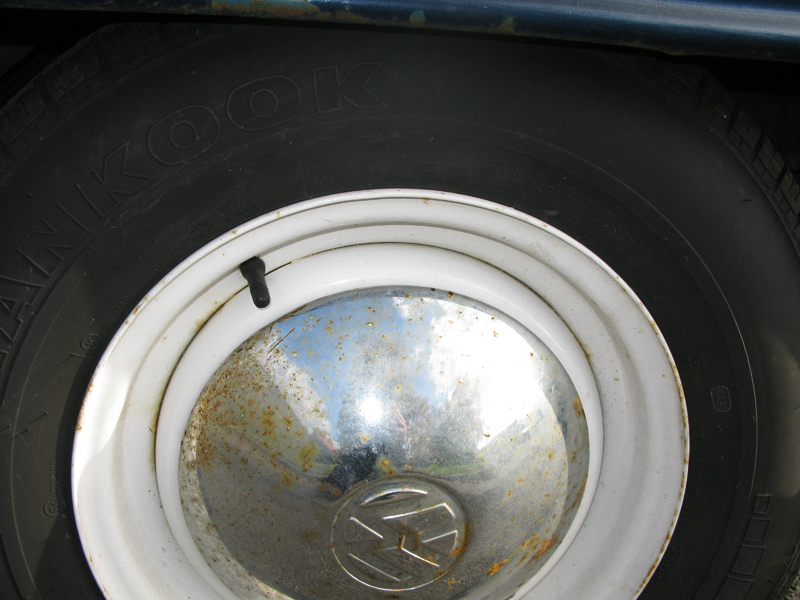 IMG_0338_lr.jpg, 243.7 kb, 800 x 600