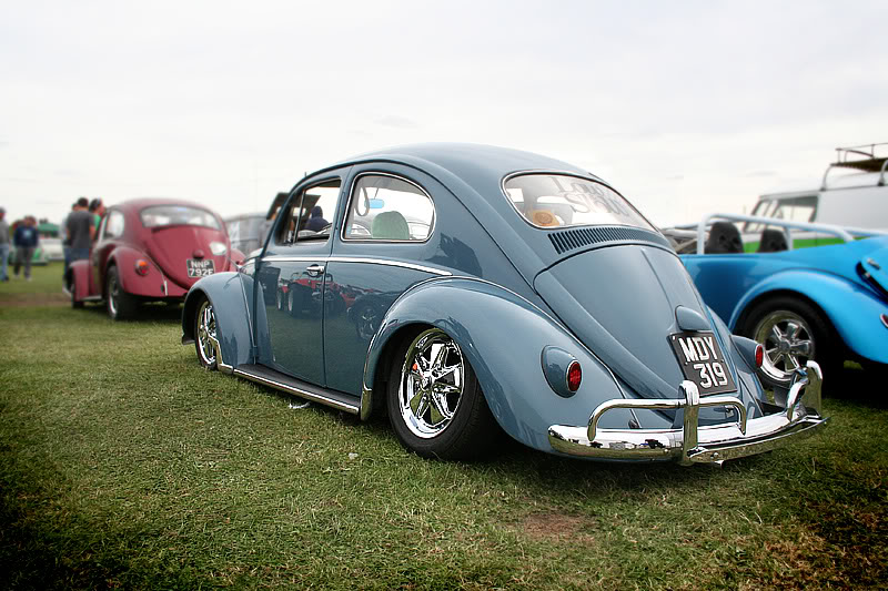 IMG_0707.jpg, 122.79 kb, 800 x 533