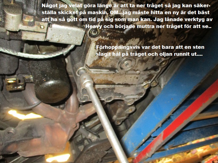 Liten vecka 26.jpg, 192.54 kb, 722 x 541