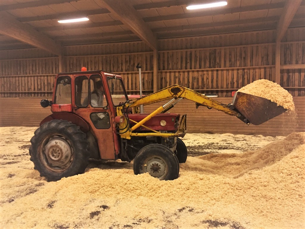 IMG_282411.jpg, 251.96 kb, 1024 x 768