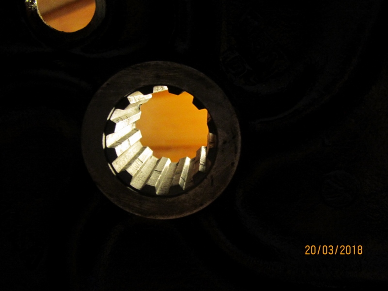 IMG_7938 (800x600).jpg, 132.33 kb, 800 x 600