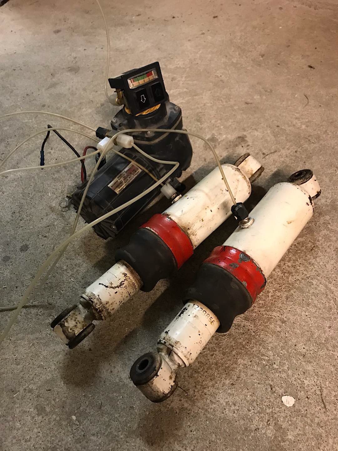 D7B774D8-B055-42B6-B7CD-8AA45CB87793.jpeg, 365.25 kb, 1080 x 1440