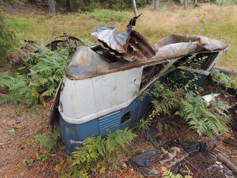 IMG_1735.JPG, 77.53 kb, 480 x 360