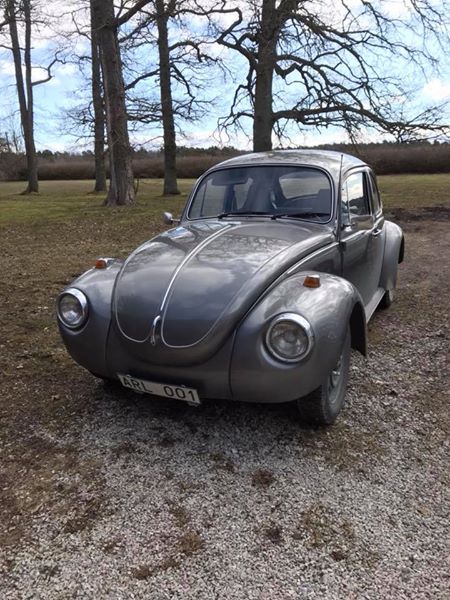 29573027_10210920941762821_7824227590172564564_n.jpg, 77.76 kb, 450 x 600