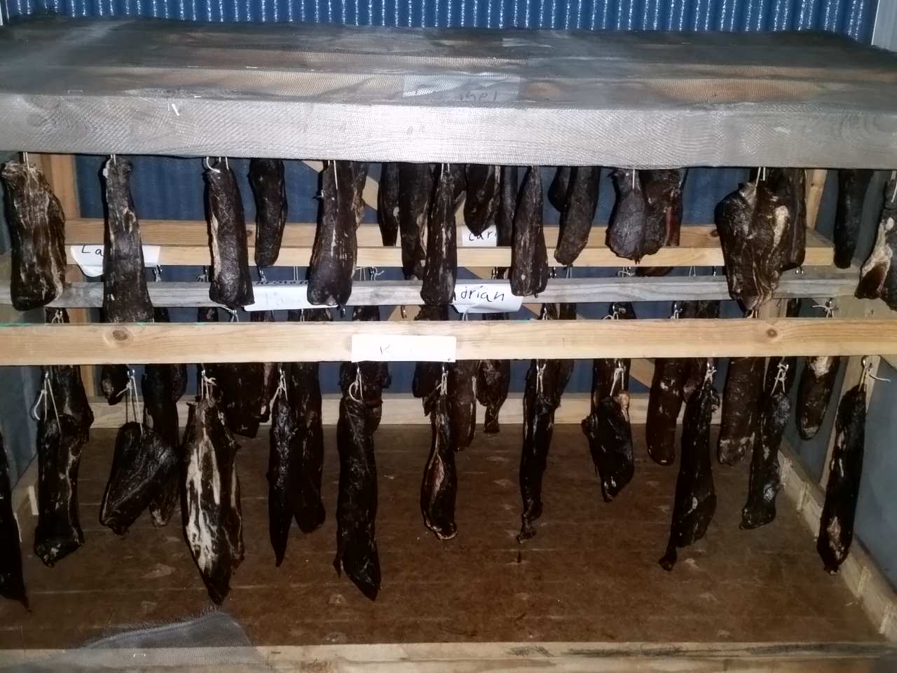 IMG_20180408_211212.jpg, 145.62 kb, 1280 x 960