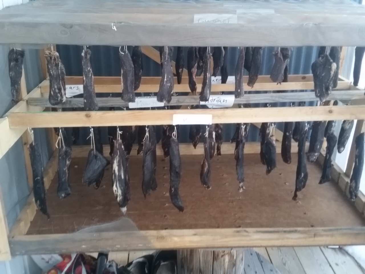 IMG_20180415_192626.jpg, 97.91 kb, 1280 x 960