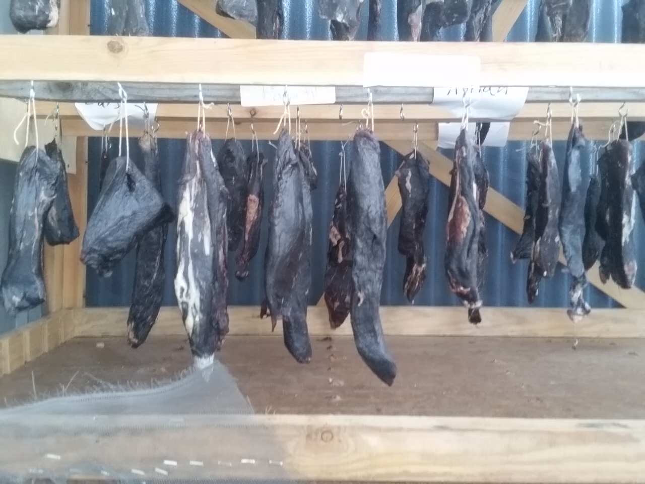 IMG_20180415_192631.jpg, 104.72 kb, 1280 x 960