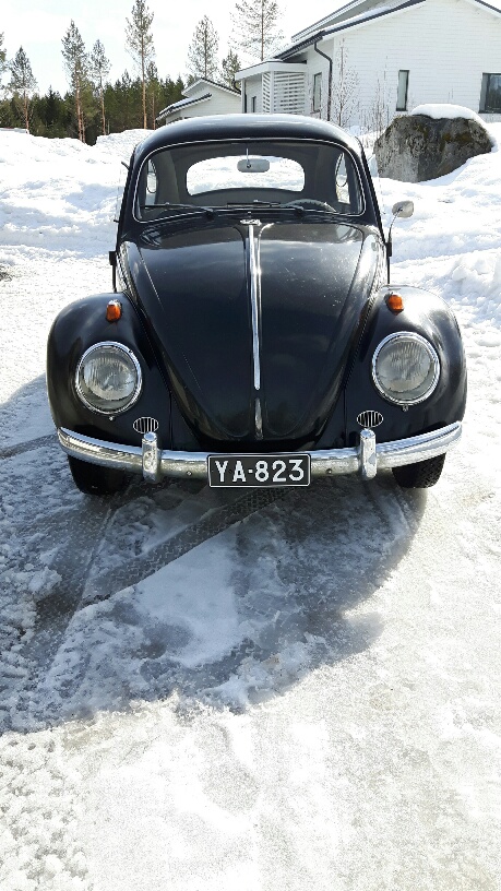 20180408_144112_resized.jpg, 195.06 kb, 459 x 816