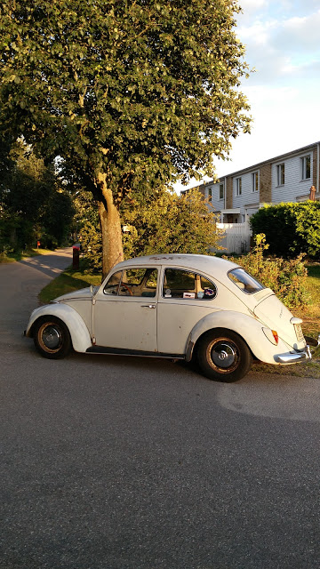 IMG_20170731_201456.jpg, 124.32 kb, 360 x 640