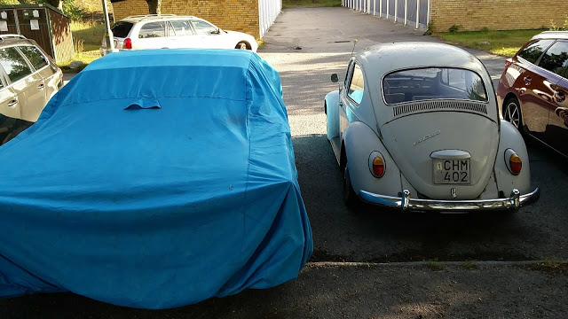 orca-image-1501346058636.jpg_1501346059419.jpeg, 74.62 kb, 640 x 360