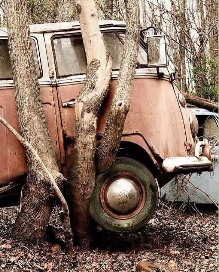 Grew split.jpg, 347.16 kb, 729 x 904