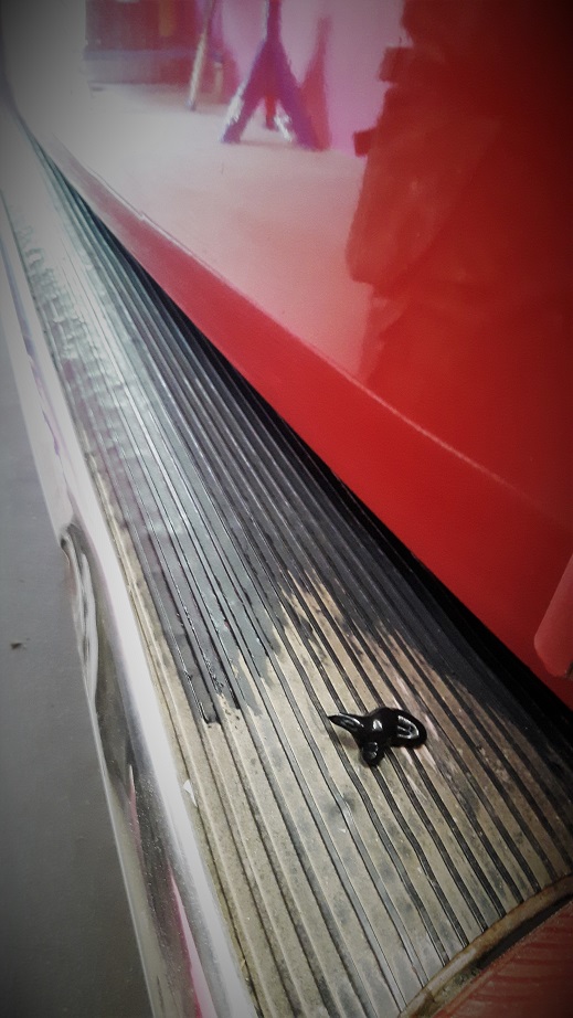 20180513_161121 1.jpg, 183.57 kb, 519 x 922