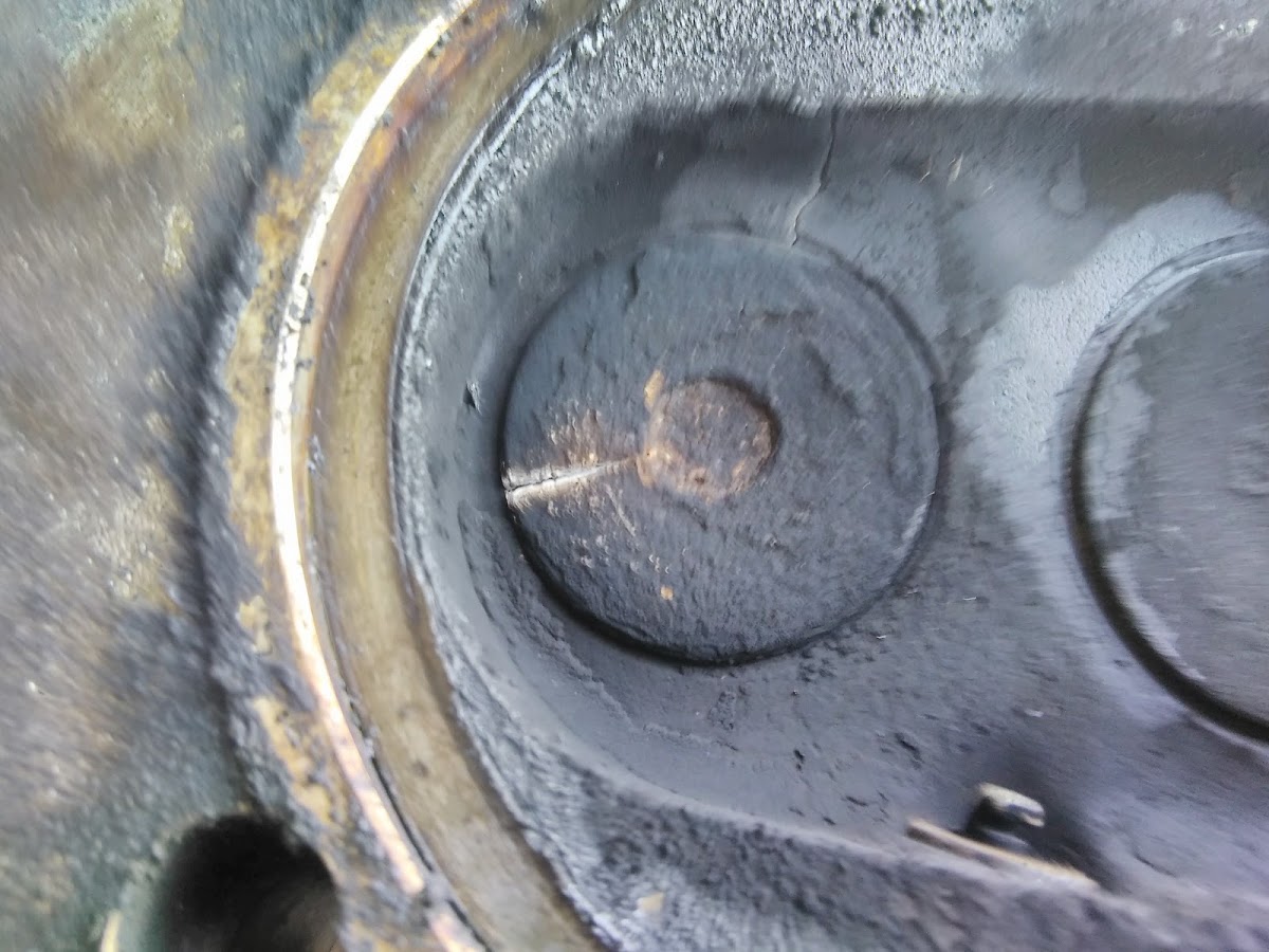 IMG_20180520_114758.jpg, 165.96 kb, 1200 x 900