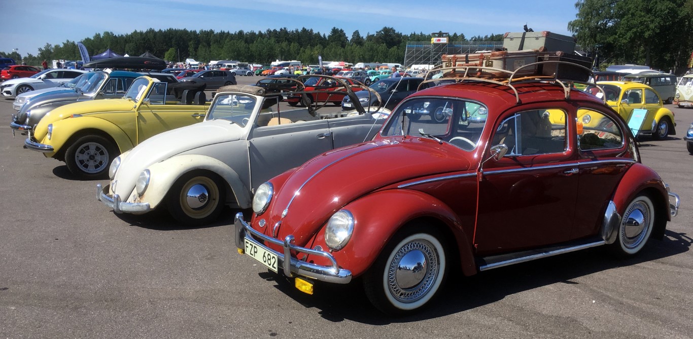 IMG_6609b (Medium).jpeg, 279.95 kb, 1366 x 669