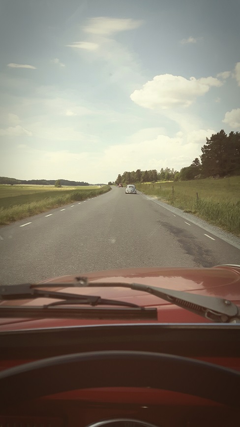 20180610_163952.jpg, 81.75 kb, 488 x 868