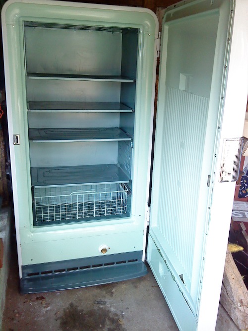 frys5.JPG, 114.14 kb, 500 x 667