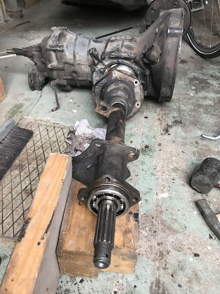 IMG_2664.JPG, 120.27 kb, 450 x 600