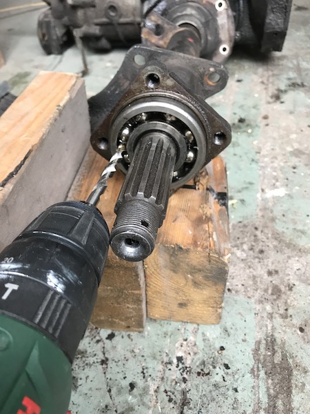 IMG_6370.JPG, 98.15 kb, 450 x 600