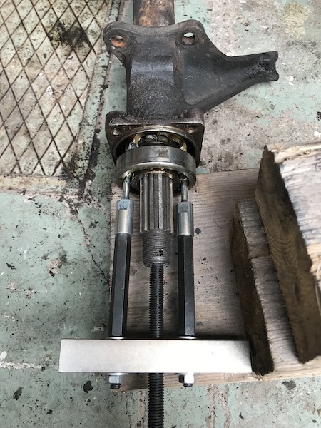 IMG_2507.JPG, 120.94 kb, 450 x 600