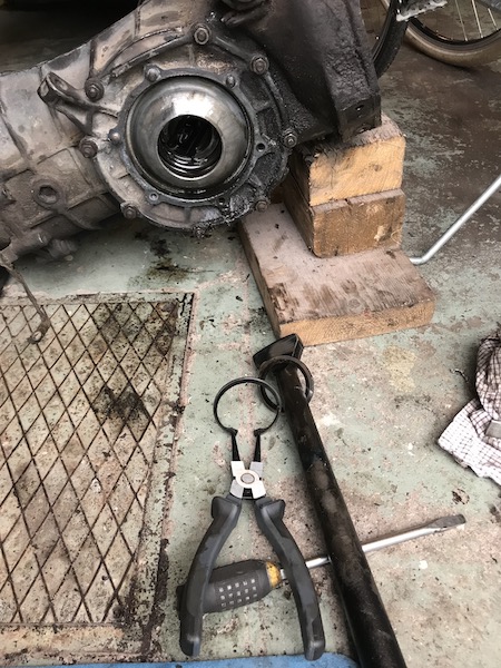 IMG_0031.JPG, 133.35 kb, 450 x 600