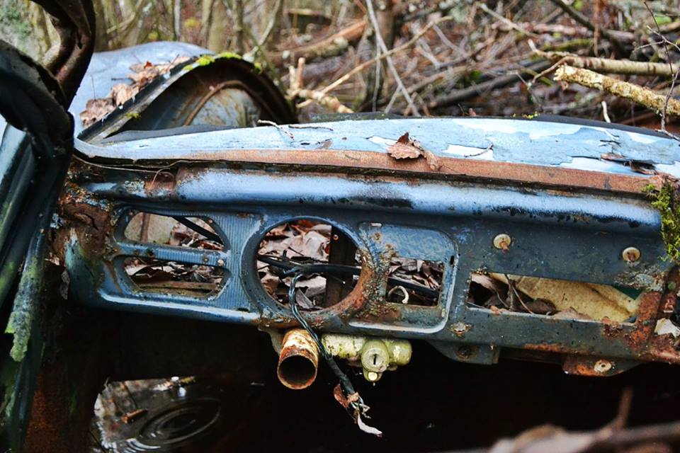 12316293_824993164275909_3842199350791777162_n.jpg, 102.58 kb, 960 x 640