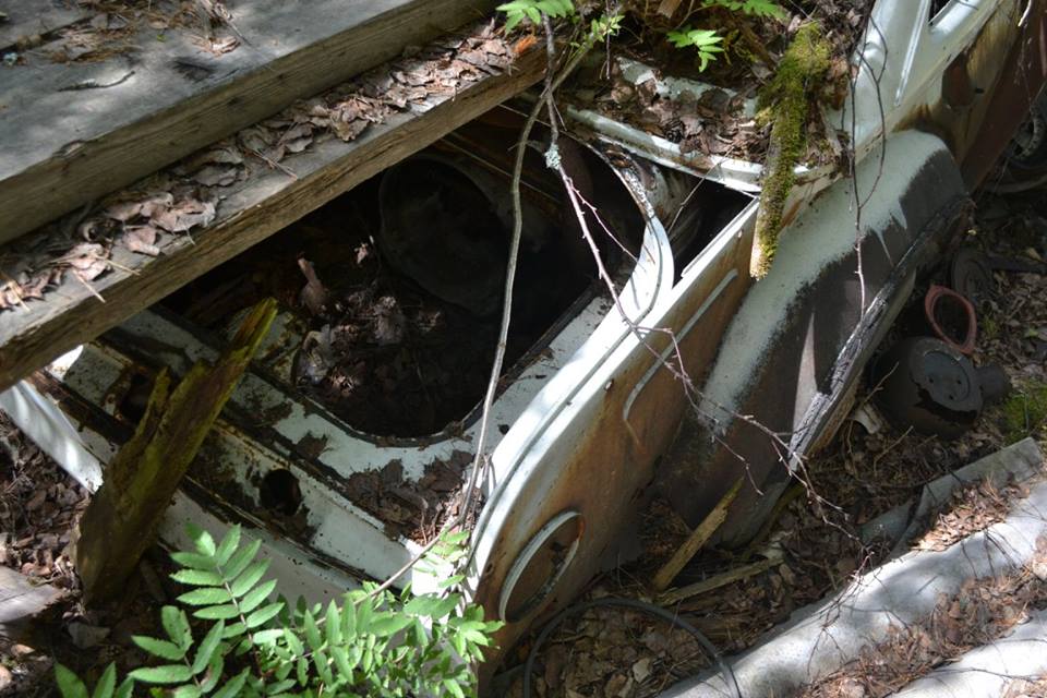 15965598_1098598533582036_5856601882580814783_n.jpg, 105.94 kb, 960 x 640