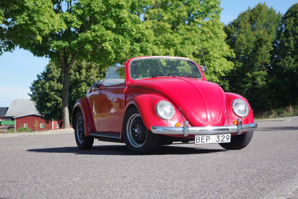 09IMGP0721.jpg, 144.42 kb, 1024 x 683