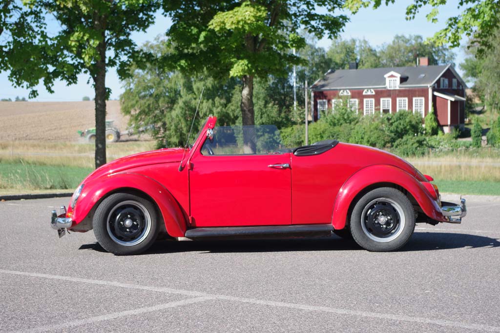 06IMGP0706.jpg, 146.83 kb, 1024 x 683