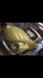 IMG_0828.PNG, 152.11 kb, 179 x 320