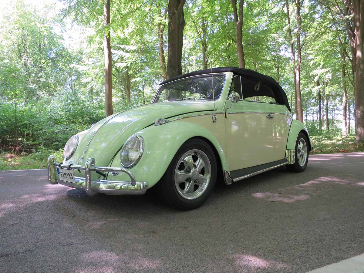 2018- (19),1.jpg, 214.42 kb, 1200 x 900