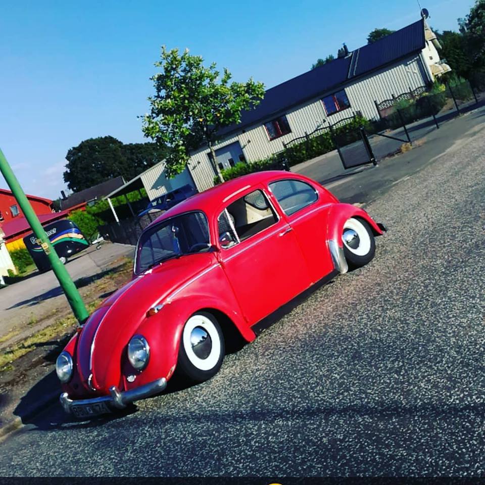 38032596_10157631738078082_9126766939488649216_n.jpg, 152.83 kb, 960 x 960