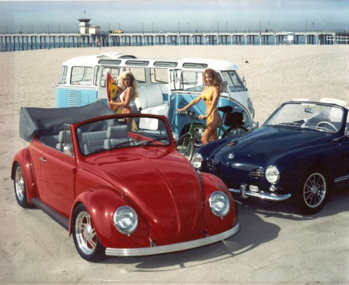 560.jpg, 79.89 kb, 500 x 408