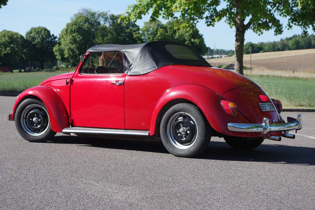 01IMGP0696.jpg, 145.77 kb, 1024 x 683