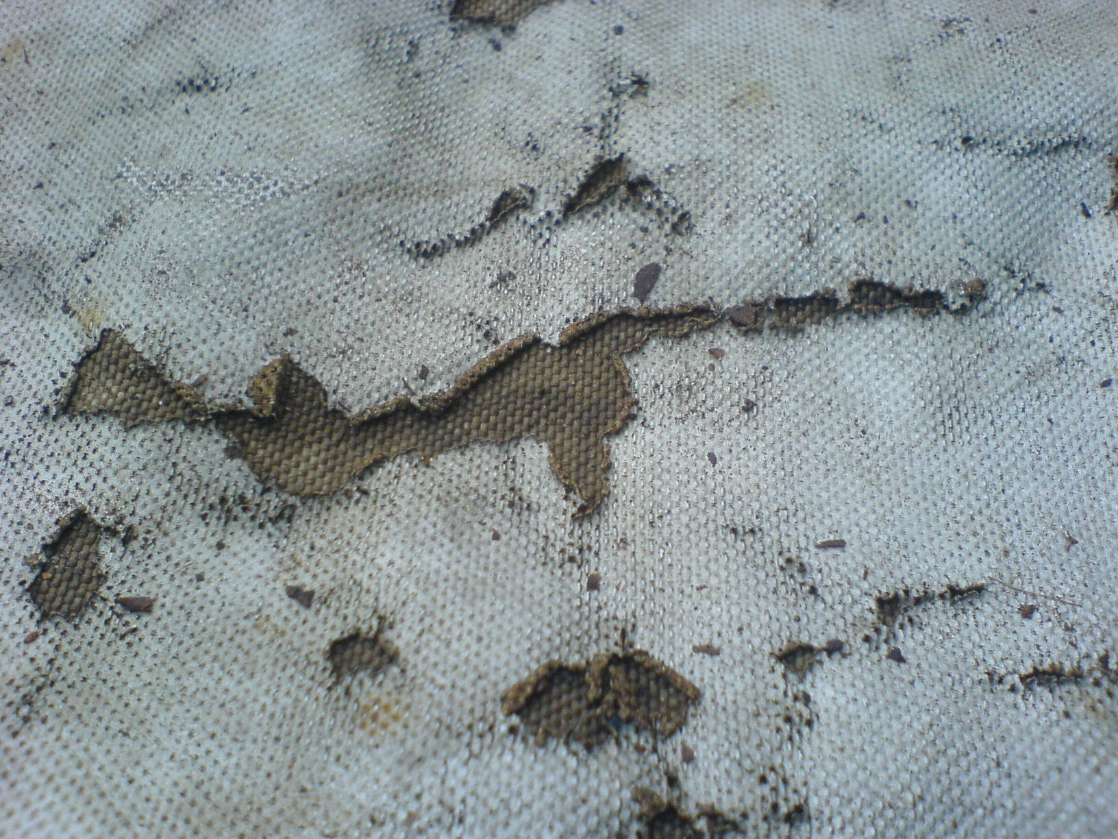 DSC00530.JPG, 415.24 kb, 1632 x 1224