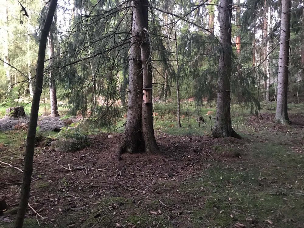 61CB477E-EC1C-45BC-AD06-526D78DFE16A.jpeg, 372.14 kb, 1000 x 750