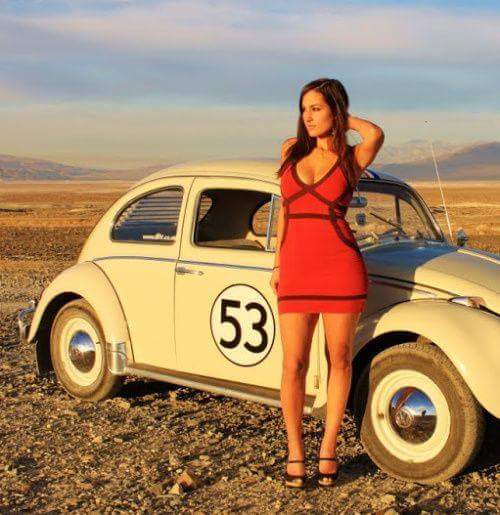 579.jpg, 41.83 kb, 500 x 515