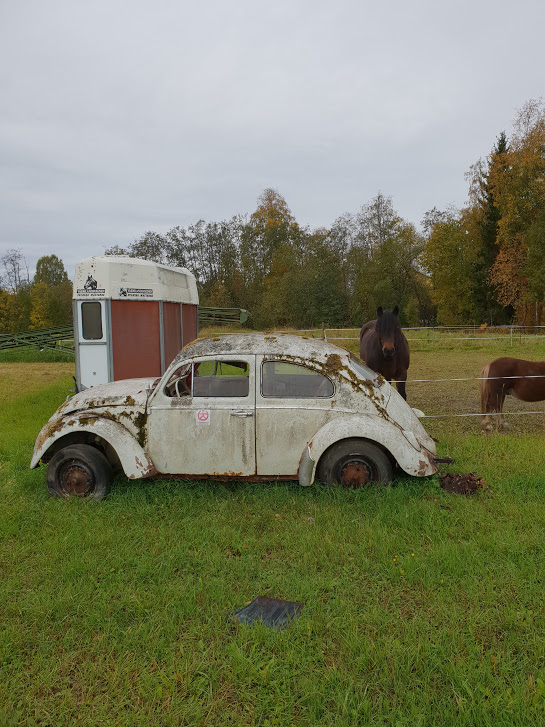 20180929_103252.jpg, 155.11 kb, 545 x 727