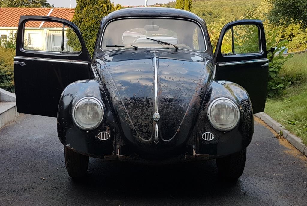 20180727_200601.jpg, 134.21 kb, 1024 x 689