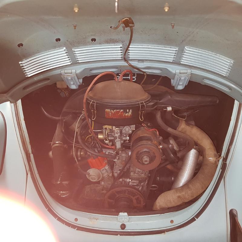 rps20181018_173857.jpg, 75.33 kb, 800 x 800