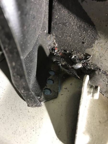 IMG_1466.JPG, 86.15 kb, 450 x 600