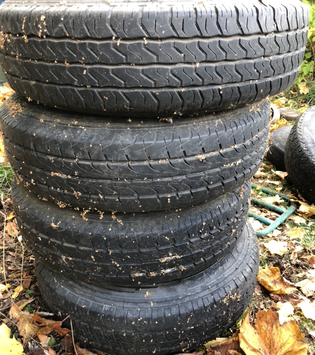 CE1B87CE-CDAB-4B35-A57C-A492FB5D42E0.jpeg, 258.51 kb, 640 x 720