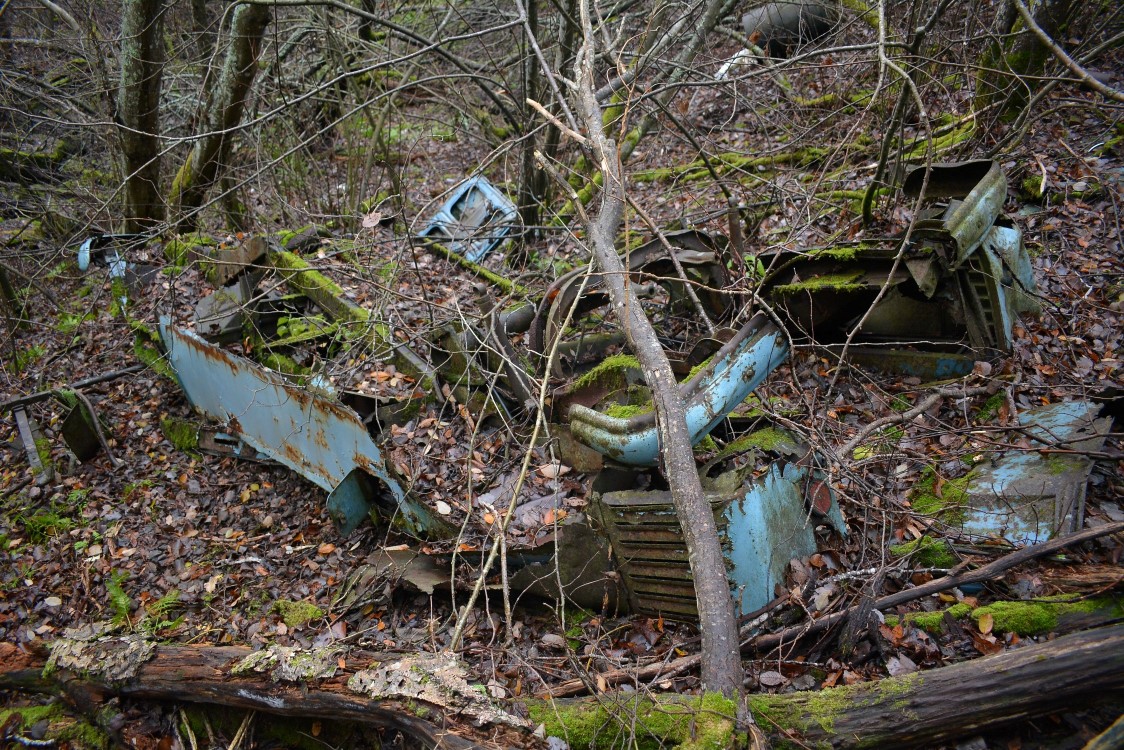 DSC_3874 (Custom) (Custom).JPG, 479.38 kb, 1124 x 750