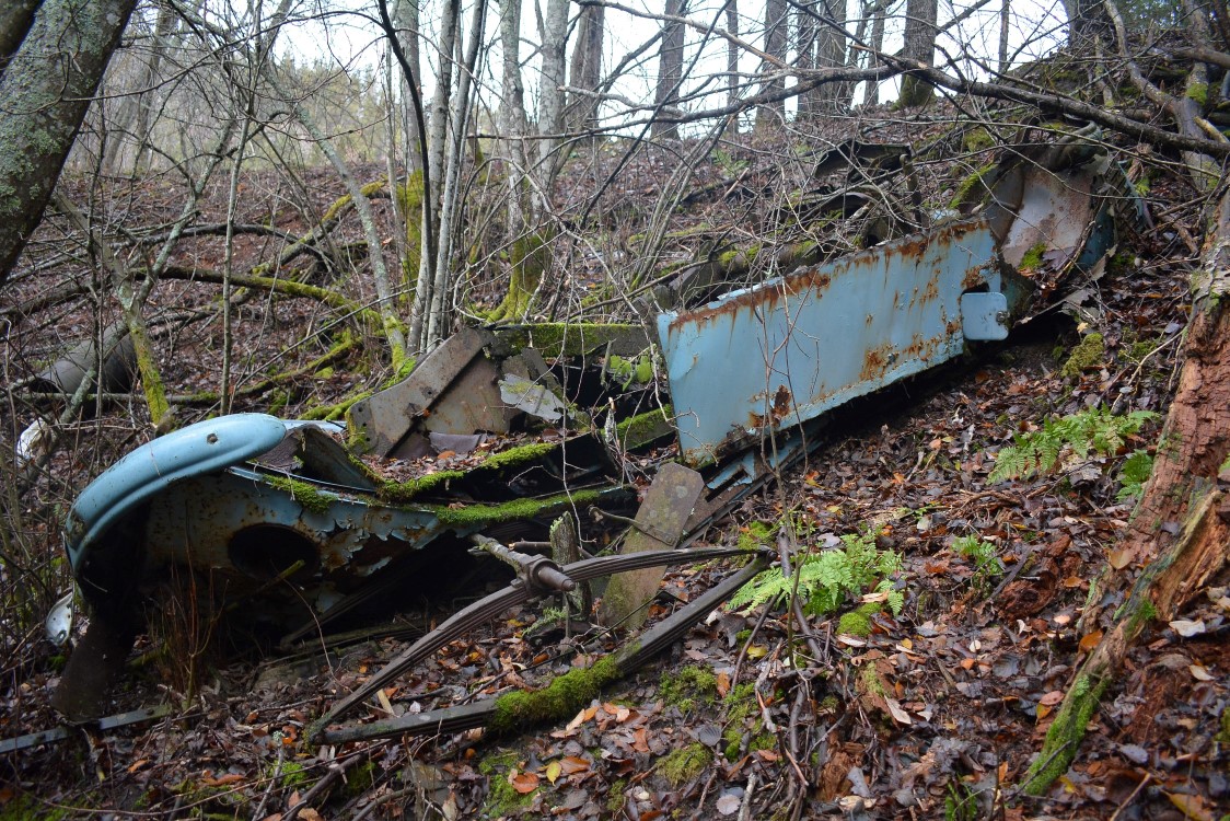 DSC_3878 (Custom) (Custom).JPG, 468.17 kb, 1124 x 750