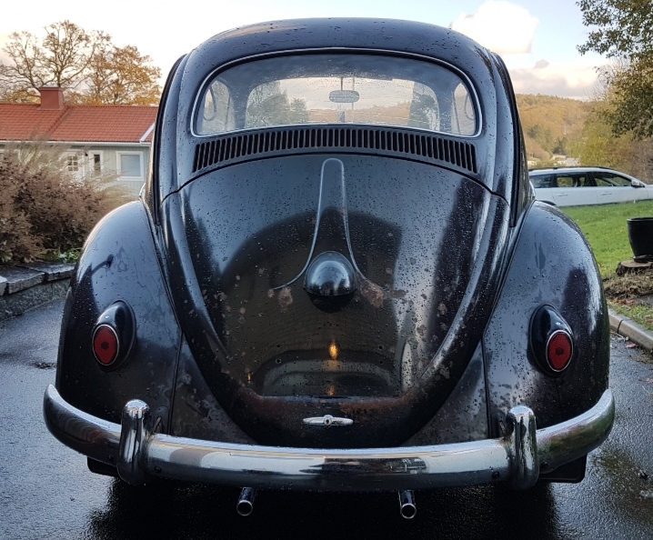 20181105_102307.jpg, 346.95 kb, 718 x 594