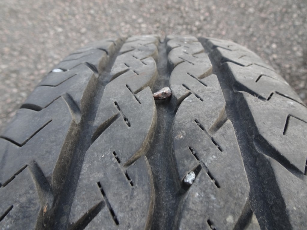 DSC03731.JPG, 189.27 kb, 1024 x 768